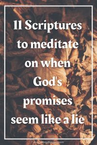 11 Scriptures to Meditate on When God's Promises Seem Like a LIE